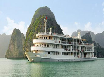 The Auco Cruise (Best Price Guarantee)