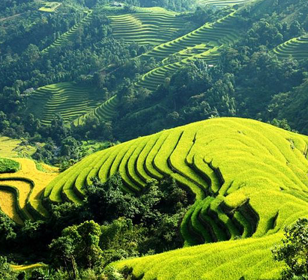 SP6 - Sapa easy trek 2 days 1 night by bus ( stay at Hotel)