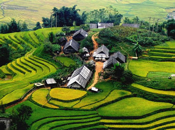 SP7 - Sapa Medium trek 3 days 2 nights by bus ( stay 1 night Hotel + 1 night homestay)